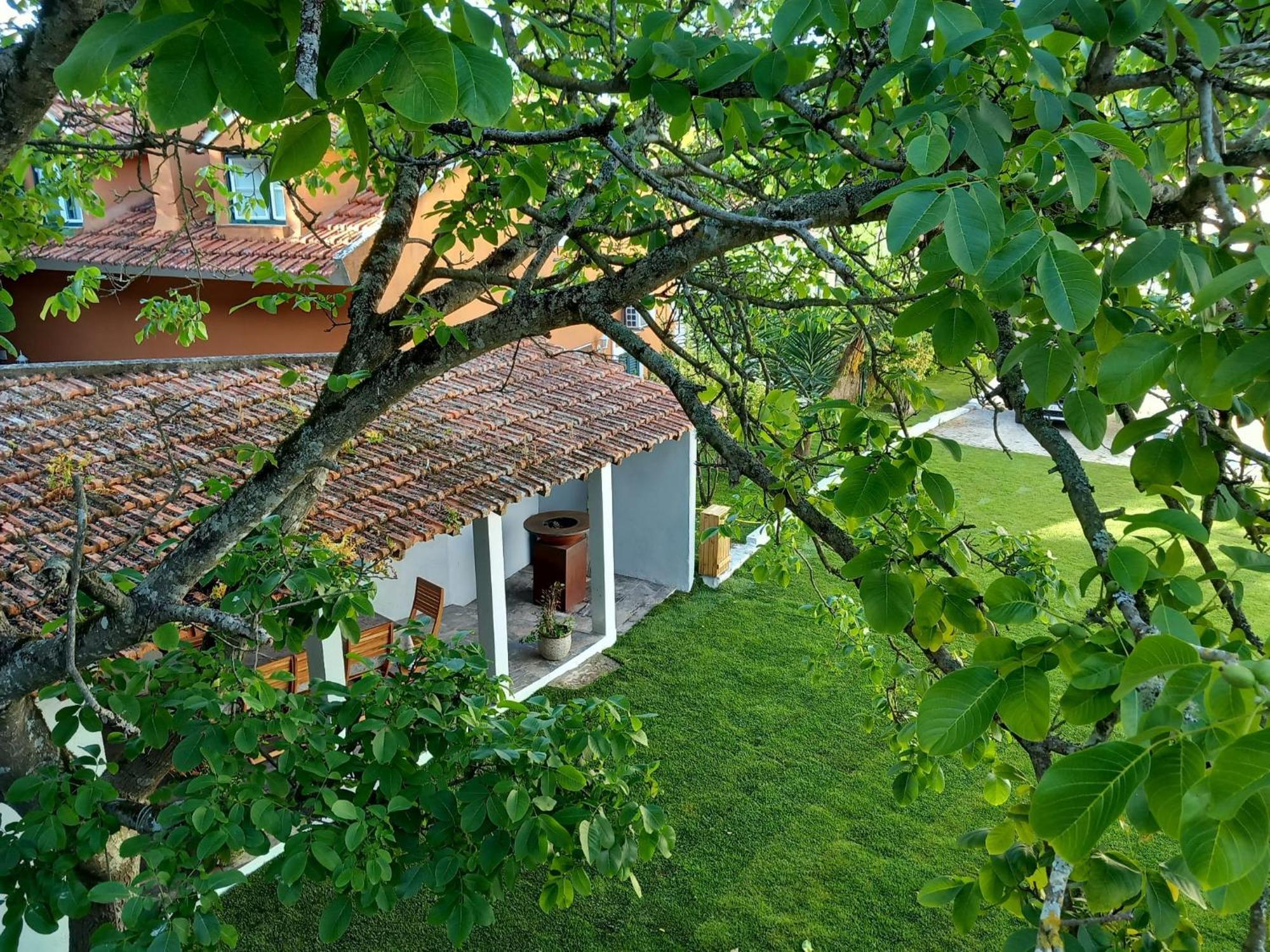 Villa In Sintra - Casa Da Penha Ferrim Exterior foto
