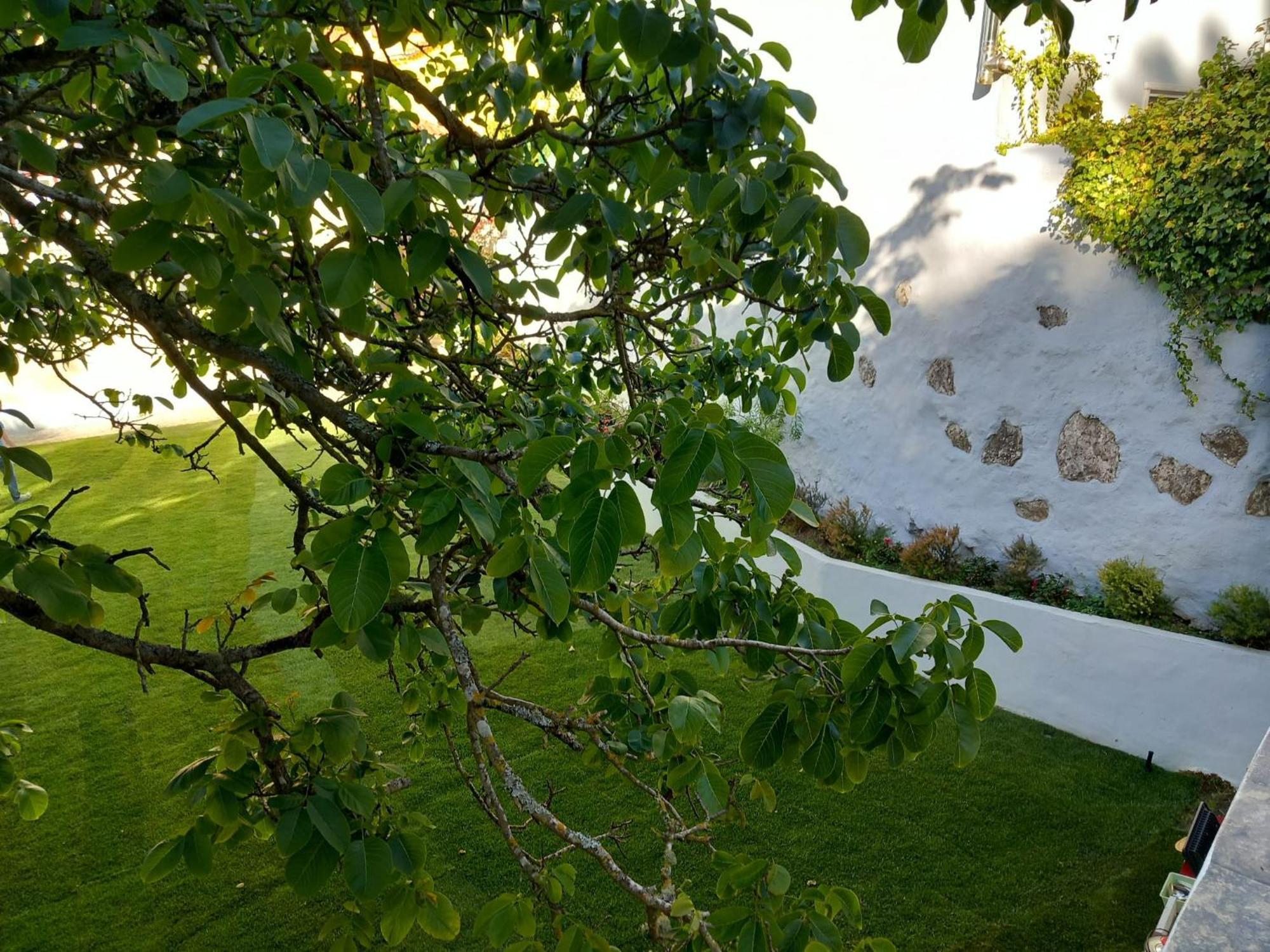 Villa In Sintra - Casa Da Penha Ferrim Exterior foto