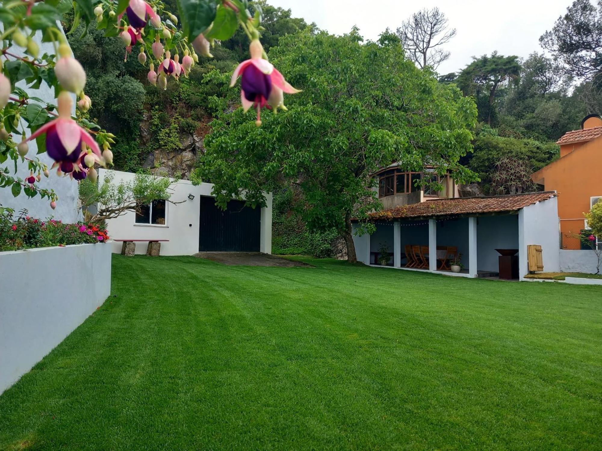 Villa In Sintra - Casa Da Penha Ferrim Exterior foto